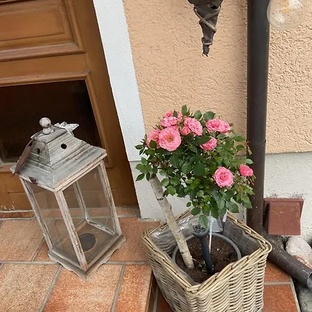 Sigis Schwandorf in Bayern